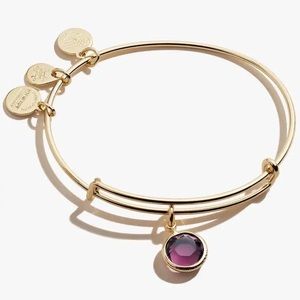 ALEX And ANI BANGLE BRACELET FEBRUARY Purple Amethyst Crystal Shiny Gold Polish